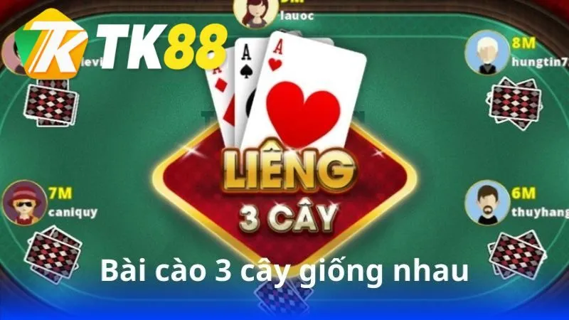 bai-cao-3-cay-giong-nhau-1