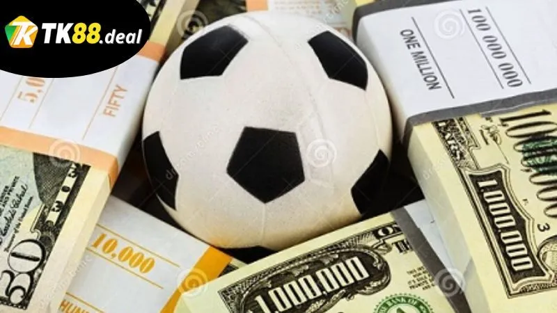 y-nghia-cua-van-de-ve-ca-cuoc-co-trach-nhiem-nguoi-choi